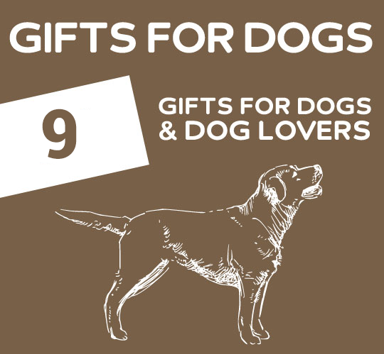 09 Best Gifts For Dog Lovers